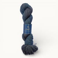 Aslan Is On The Move | Return to Narnia Hand-Dyed Yarn (Preorder)