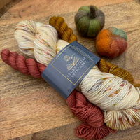SHOW PICKUP | Falling Leaves Sock Set | Indie Untangled at Rhinebeck