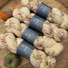 SHOW PICKUP | Falling Leaves Yarn | Indie Untangled at Rhinebeck Exclusive