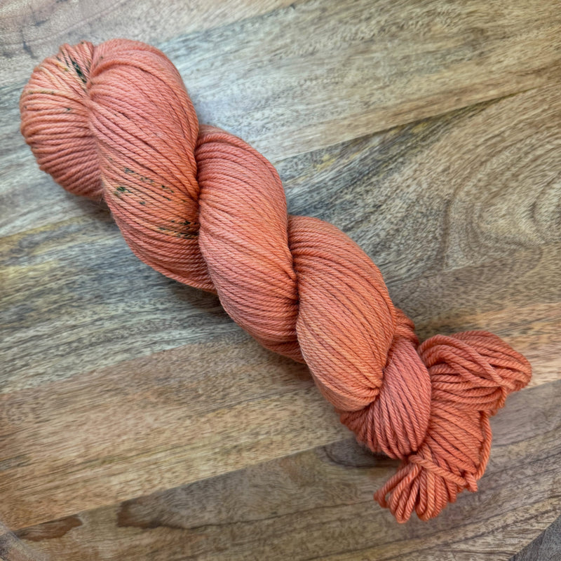 Saga NSW Merino (Worsted) | Cozy Hearthside Collection