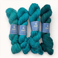 The Lone Islands | Return to Narnia Hand-Dyed Yarn (Preorder)