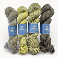 The Sleeping Dryad | Return to Narnia Hand-Dyed Yarn (Preorder)
